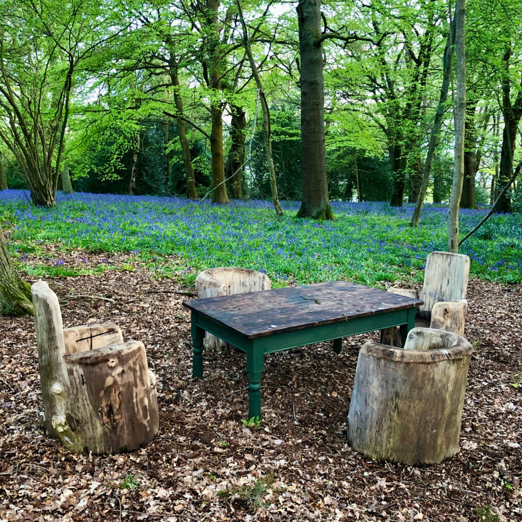 Bluebells and outdoor wood carving at Harry Edwards Foundation